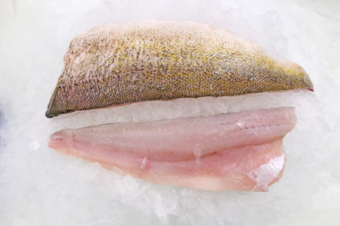 Lake Erie Walleye on a platter, sold by King Tide Seafood Provisions