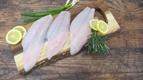 Sole Fillets