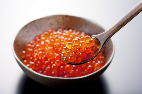 Trout Roe