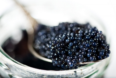 Osetra Royal Caviar sold by King Tide Seafood